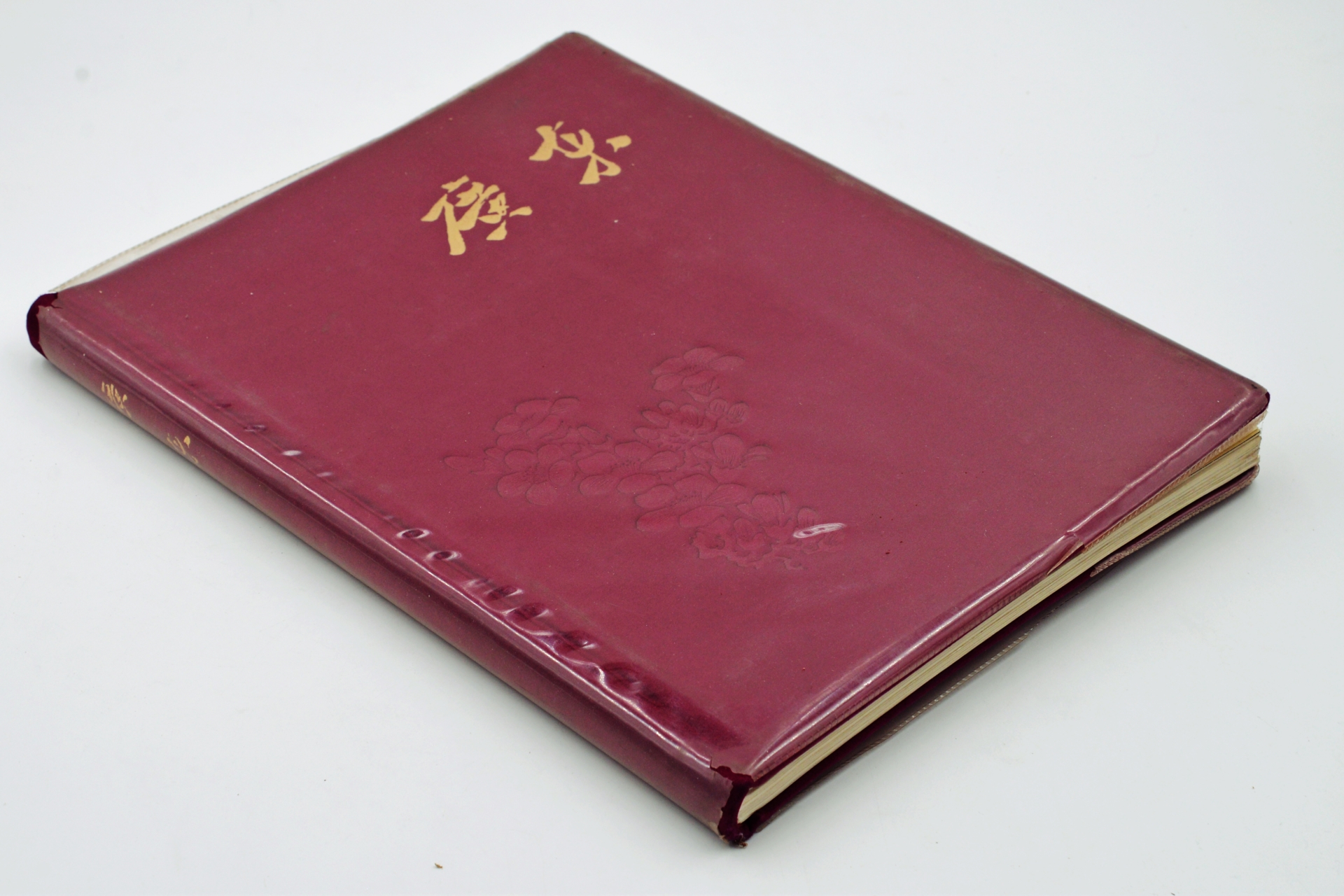 序号11：1959年《广东》.JPG
